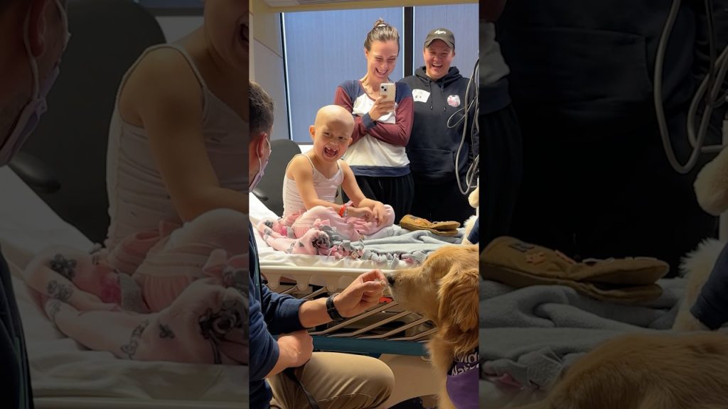 My therapy dogs visit the Children’s Hospital