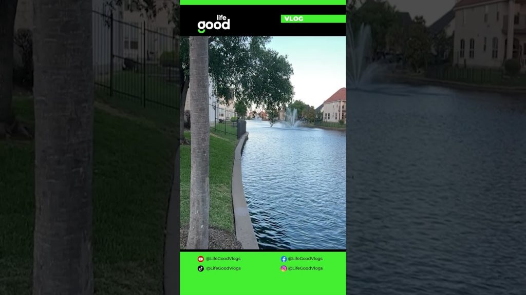 UK mein benefits ka bara fraud - Chhapay shuru!