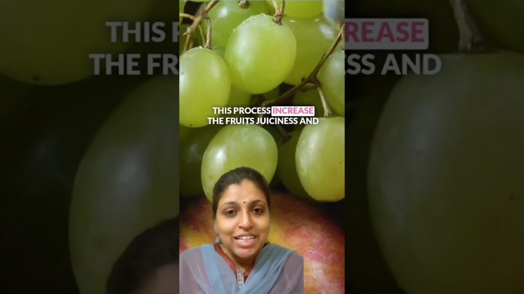 Why Soaking Fruits Is a Must For Mom