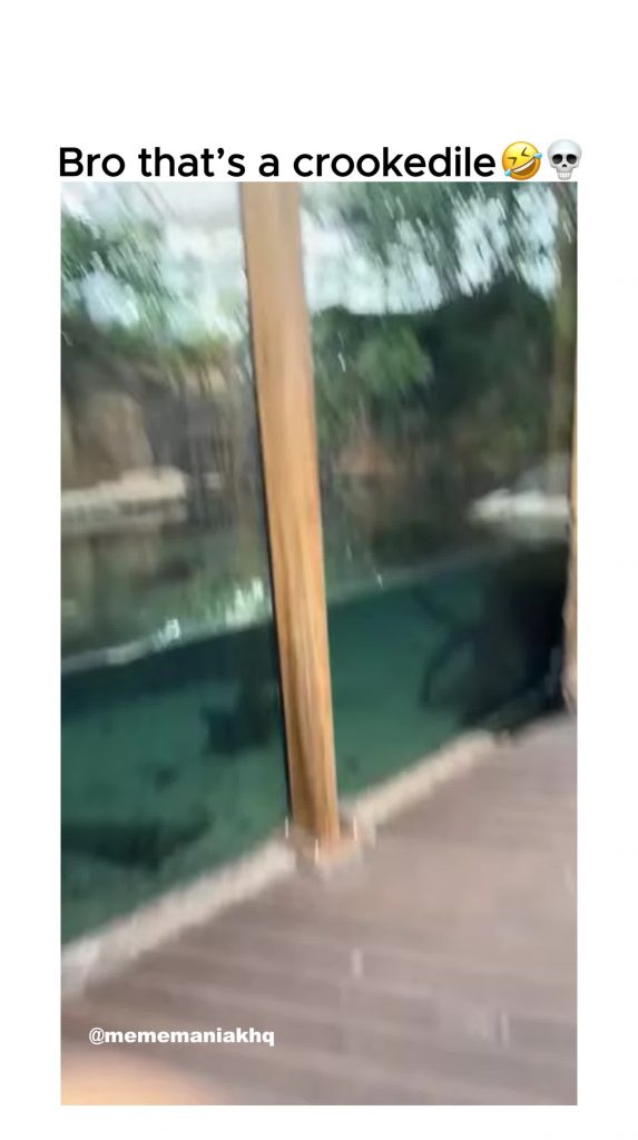 @mememaniakhq funnymemes fail fyp voorjou ...