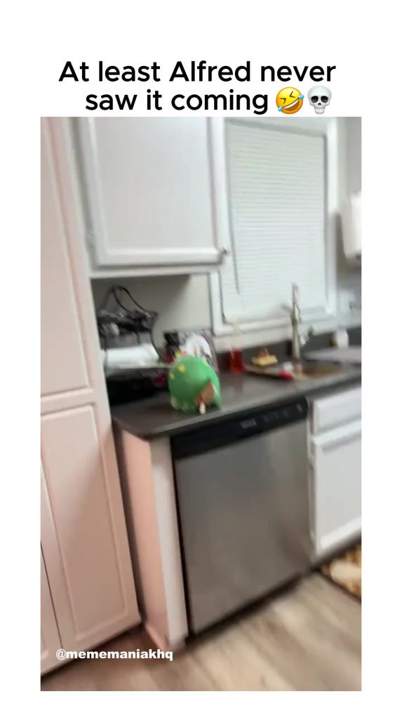 @mememaniakhq funnymemes fail fyp voorjou ...