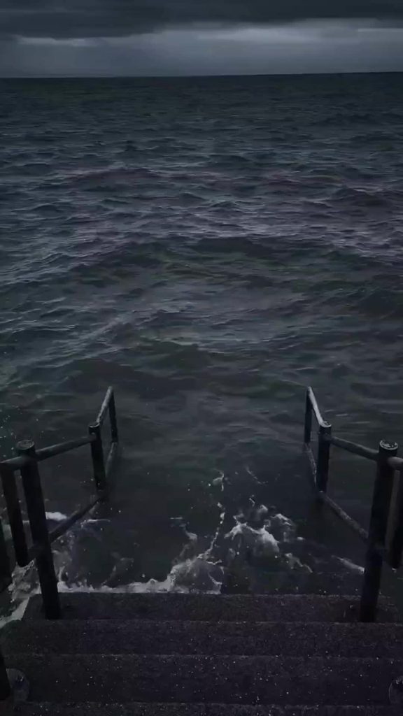 @memesontheearth #tiktok #funny #foryoupage #meme #viral #fyp #trending #memeson...