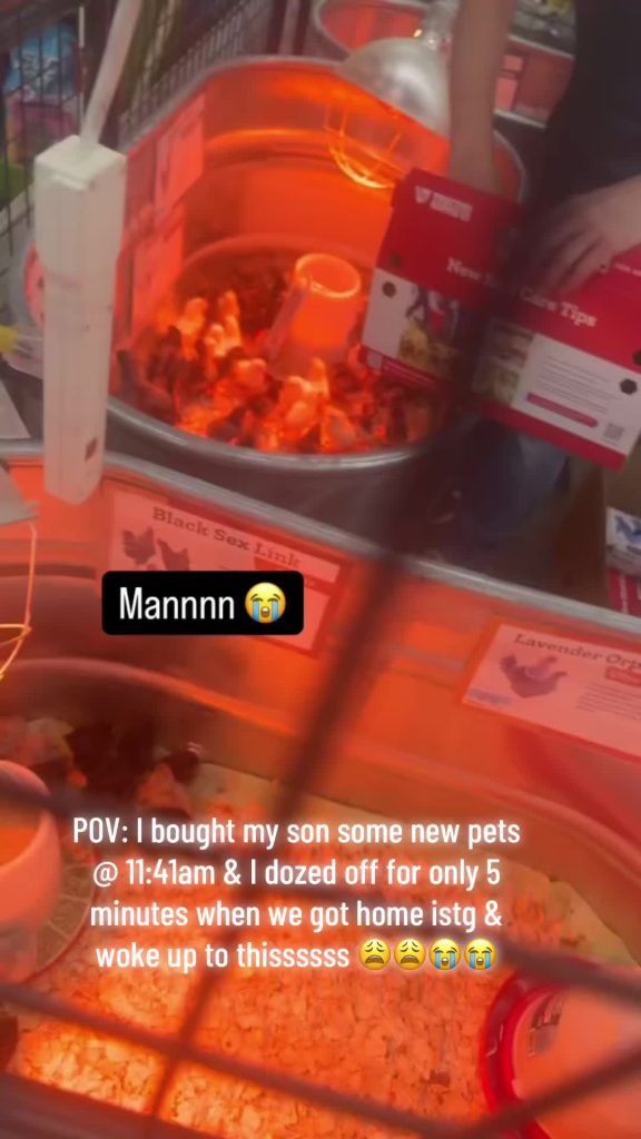 @dashalashay1 It’s not funny but it’s fucking funny dawg he don’t wanna explain ...