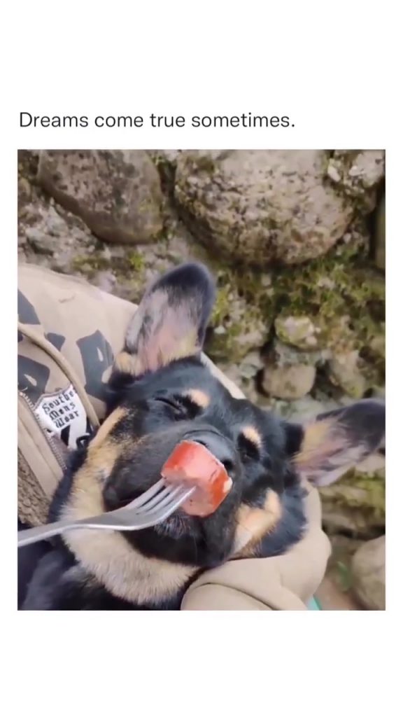 @flavorgod Bro thought he was still dreaming . (via: @martynasvirgeliskrupskis)...