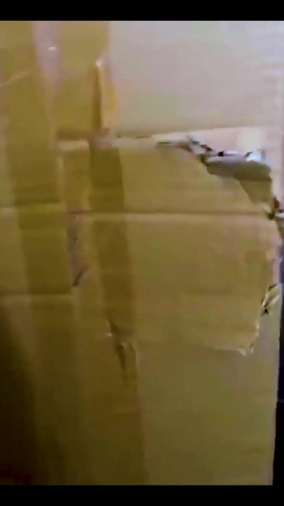 @funny._.animals01 The end  #fypシ #foryou #failvideo #fails #babytiktok #fun #pr...