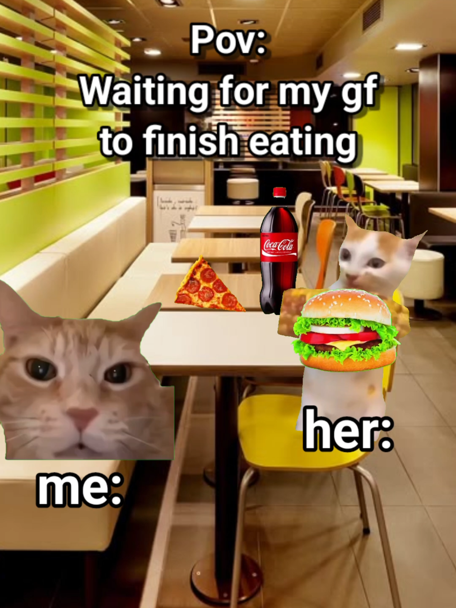 @funny_cute_pets_lover Pov: Eating with my girlfirend #relatable funny #catstori...