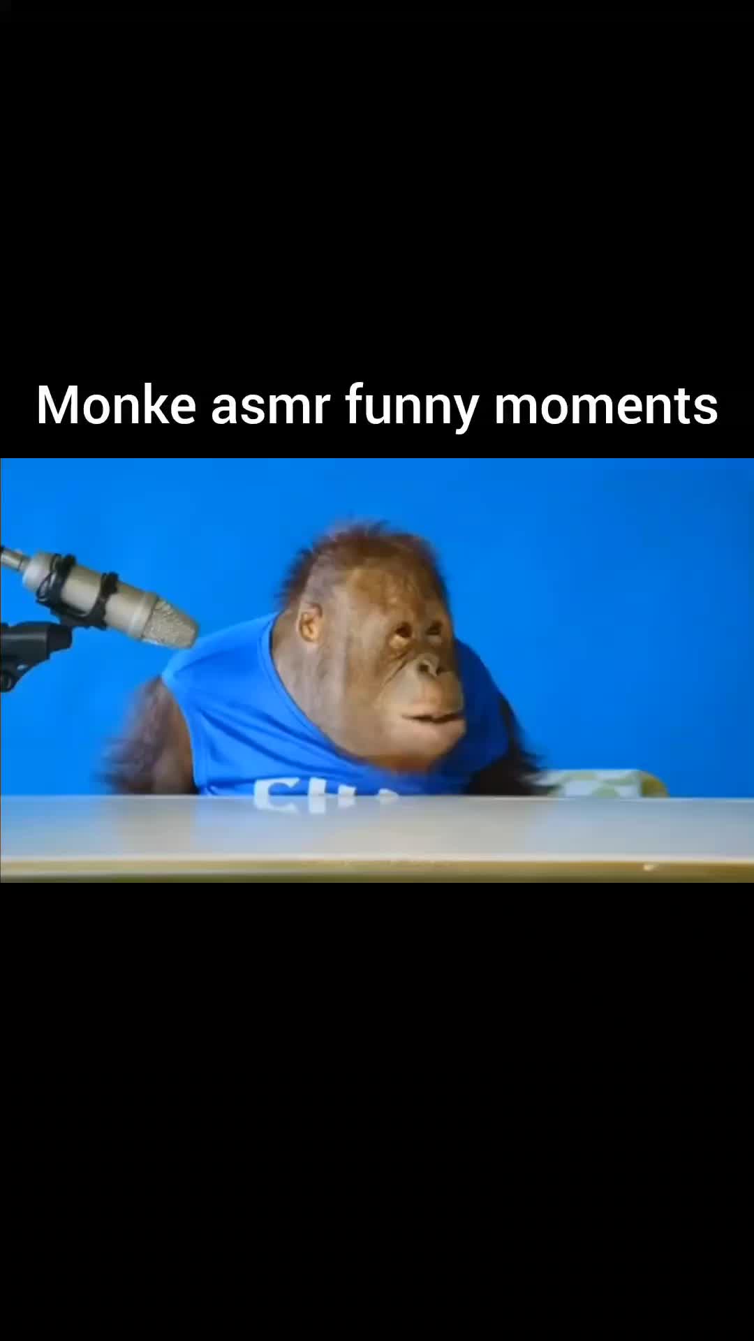 @henk2568 join the discord server  in my bio!! #asmr #monkememe #monke #monkey #...