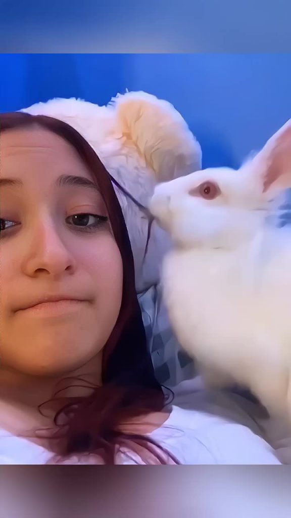 @lovepet818 funny animals #pet #cat #dog #cute #animals #foryou #typ ...