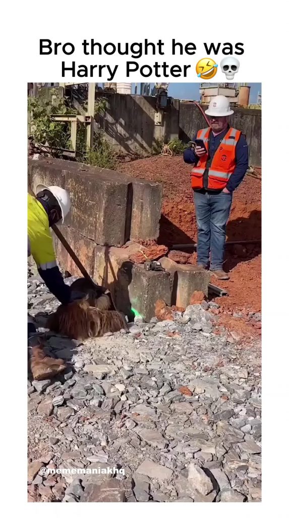 @mememaniakhq funnymemes fail fyp voorjou ...