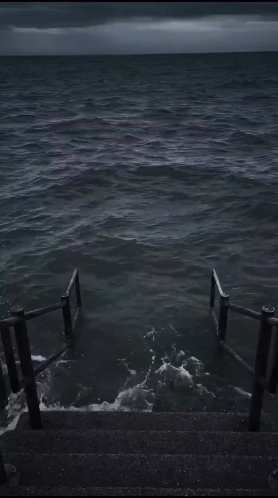 @memesontheearth #tiktok #funny #foryoupage #meme #viral #fyp #trending #memeson...