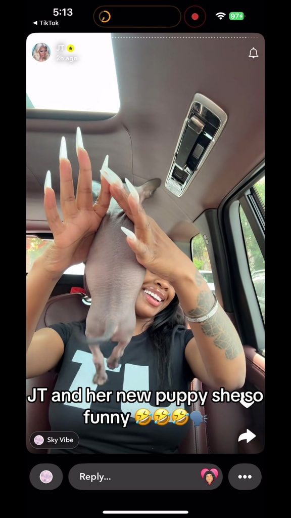 @mieshatheesagitterorist #JT  ...