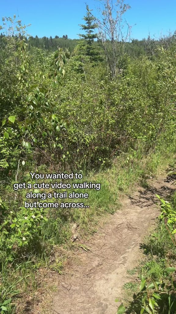 @thatonesudo_ Now of all the places…  Edit: Finally allowing comments cause yall...