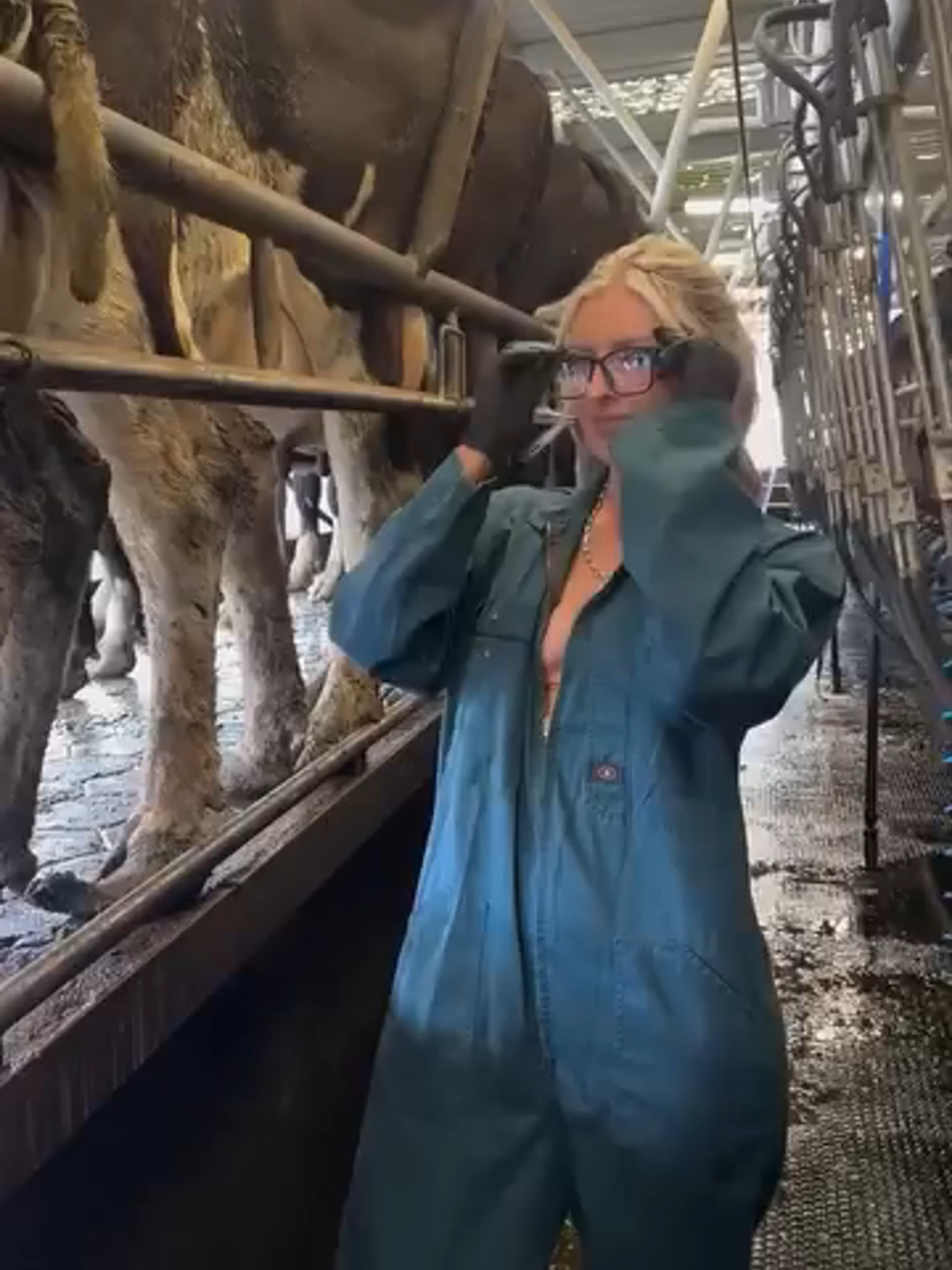@yetiifrank Im a Cow Moo...  Funny Comedy FYP ForYou Viral TikTokFunny MemeTok ...