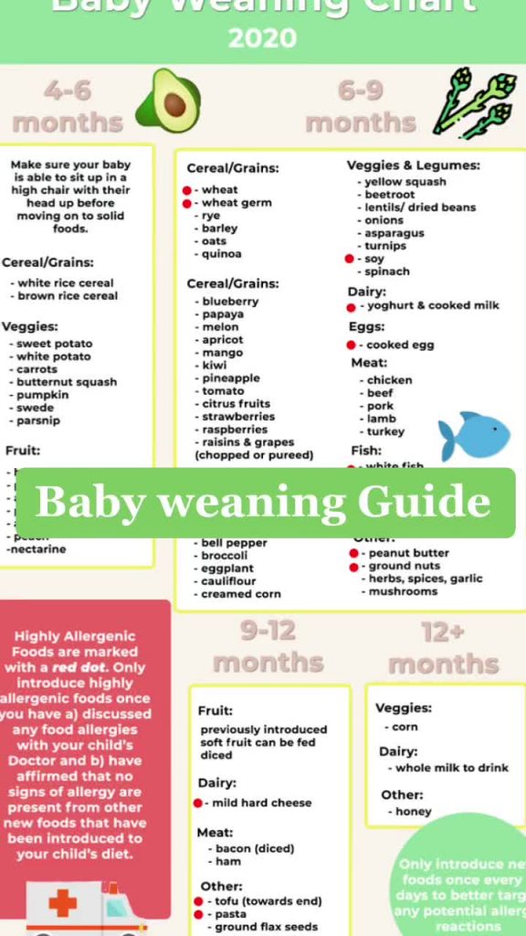 @pregnancyclub Are you looking for advice on weaning baby onto solid foods?  Our...