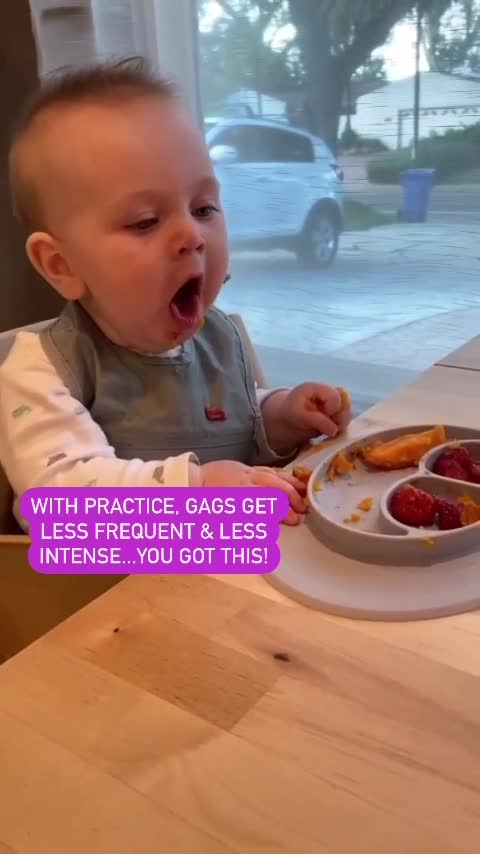 @babyledweanteam If your baby gagging on food is holding you back from babyledwe...