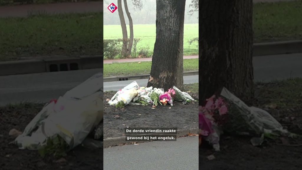 Groot verdriet om omgekomen twintigers | #shorts