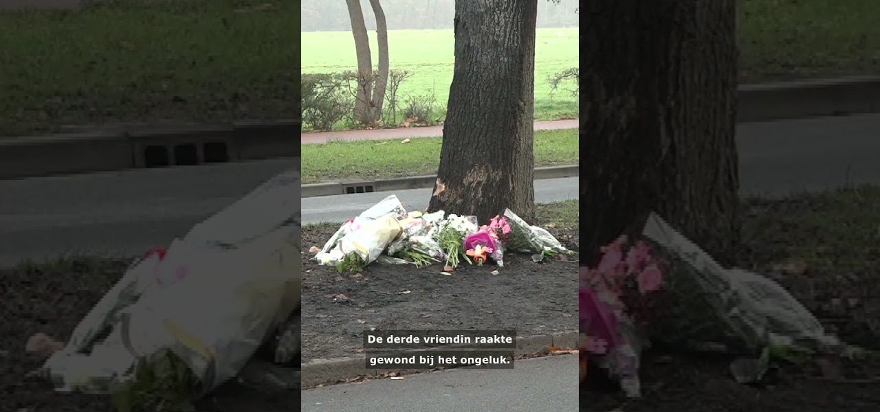 Groot verdriet om omgekomen twintigers | #shorts