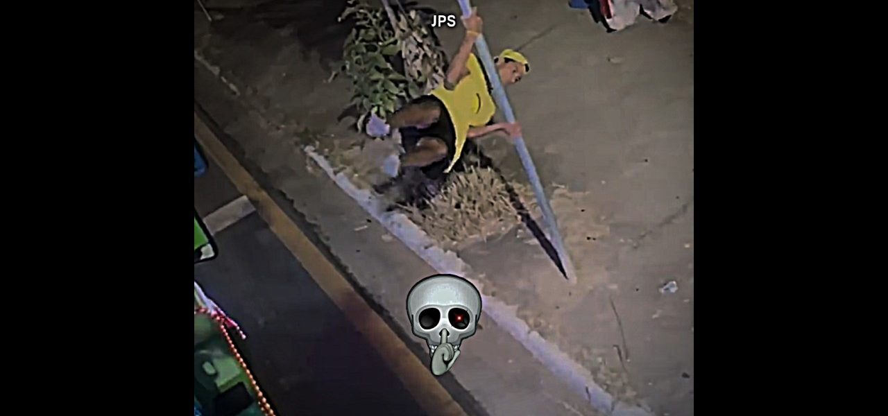 Leozinho 🔥 #shorts