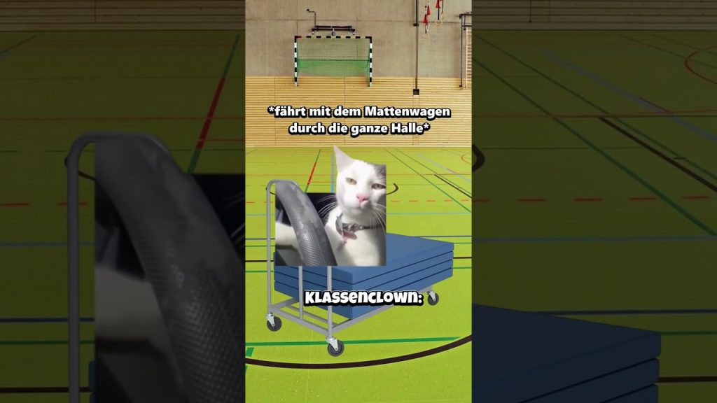 POV: Der Klassenclown im Sportunterricht😂 #katzenvideos #katze #lustig #shorts #schule