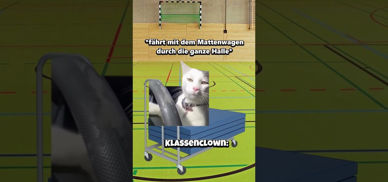 POV: Der Klassenclown im Sportunterricht😂 #katzenvideos #katze #lustig #shorts #schule