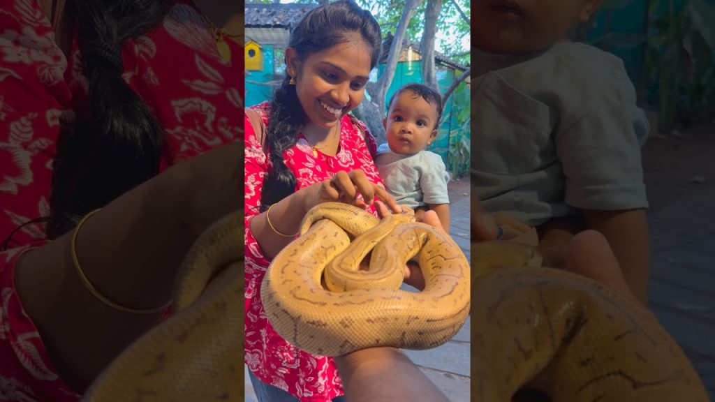 Tom 🍓Jerry(Rithvi&Kavi)Real End Twist 😂🎈 #shorts