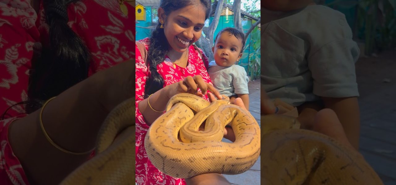 Tom 🍓Jerry(Rithvi&Kavi)Real End Twist 😂🎈 #shorts