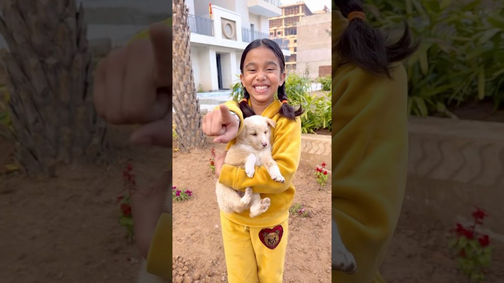 Amaira kr upr  sab hus rhe the😎 #shorts #thegeetagurjar