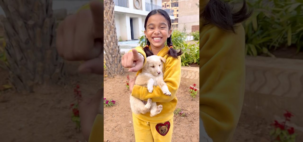 Amaira kr upr  sab hus rhe the😎 #shorts #thegeetagurjar