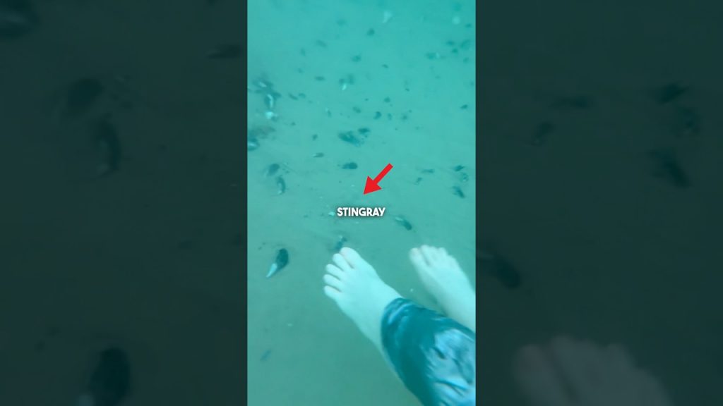 Does the Stingray shuffle ACTUALLY work?! 😳 #shorts