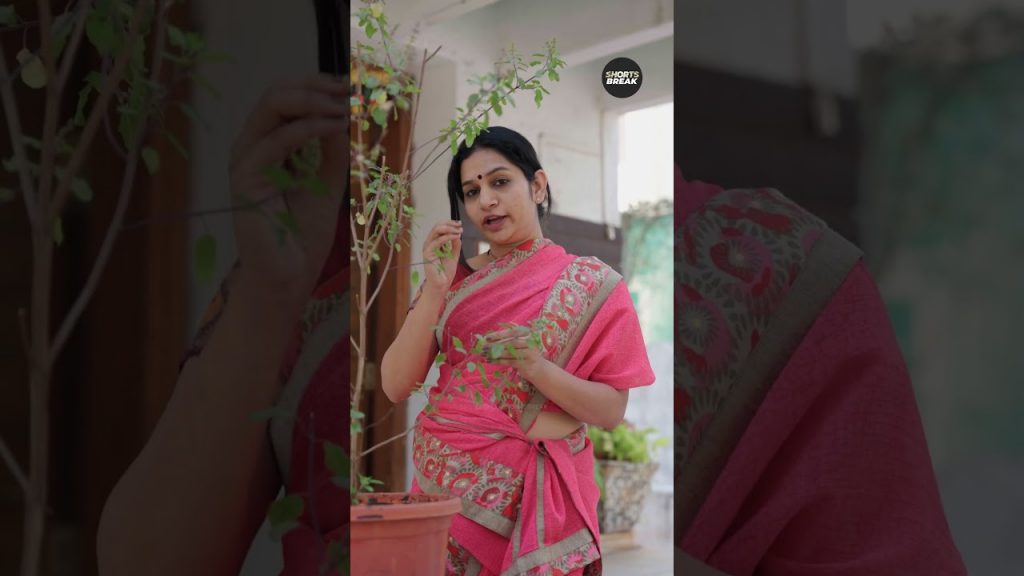 Mama Ke Ghar 😂 | Maa aur Munna | #shorts | Shorts Break