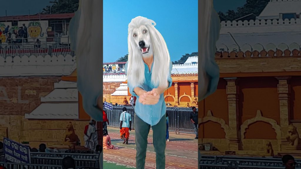 Using Filters In Real Life ✨😂✨ #shorts #comedy #comedyvideo #funny #funnyvideo #ytshorts