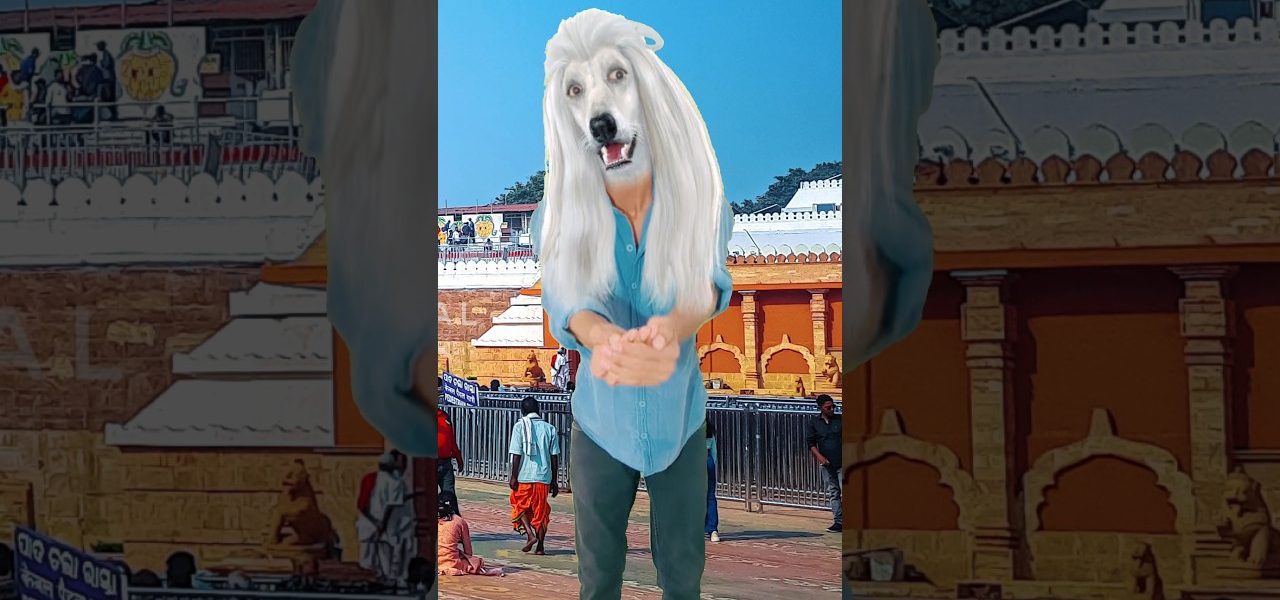 Using Filters In Real Life ✨😂✨ #shorts #comedy #comedyvideo #funny #funnyvideo #ytshorts