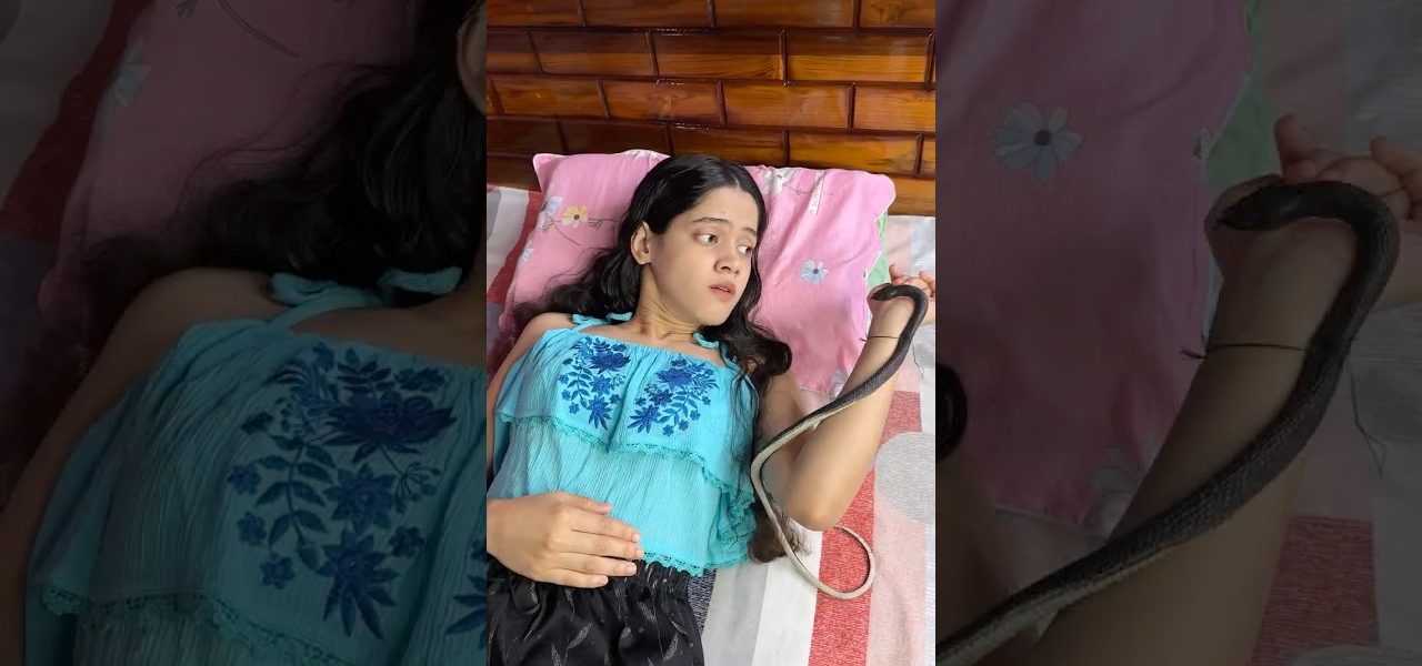 Wait For END😱Toy Snake🐍😝#shorts #comedy #funny #olidavines